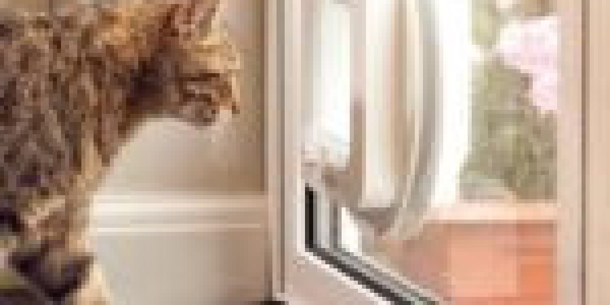 How Certified Cat Flap Installer Can Be Your Next Big Obsession
