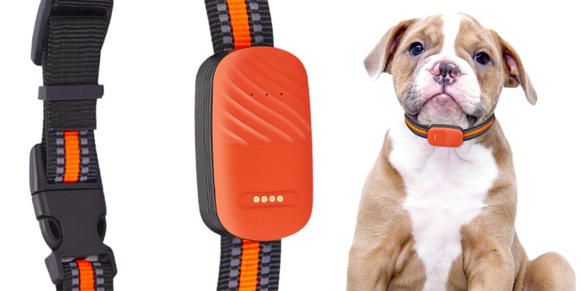 How Pawtechpet's Pet Tracker Provides Peace of Mind for Pet Owners