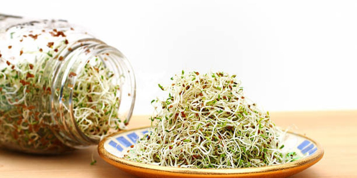 Alfalfa Market How Top Leading Companies Can Make This Smart Strategy Work 2035