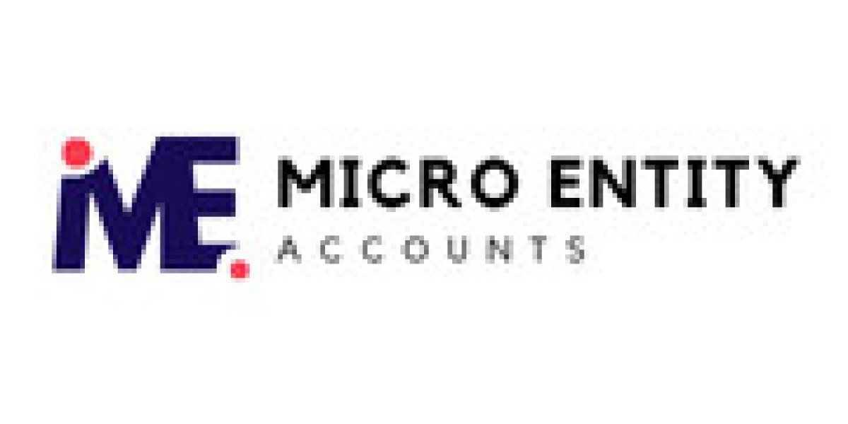Difference Between Micro Entity Accounts and Full Company Accounts: My Journey as a Small Business Owner