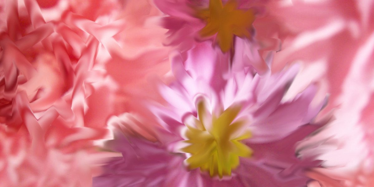 Casino Canberra Review 2025 Best Stats, Details & Facts