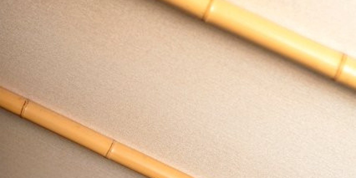 Exploring the Thrills of Digital Gaming with the WS Casino App