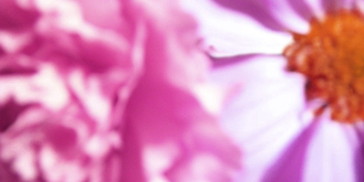 Fast Payouts & Exciting Games