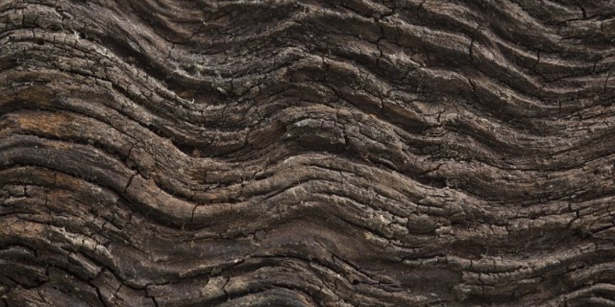 Treasury Casino and Hotel Brisbane Australia Review, Photos