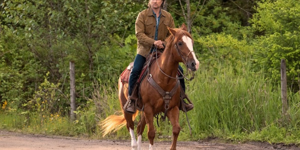 Virgin River Season 6 – Wedding Surprises & Drama