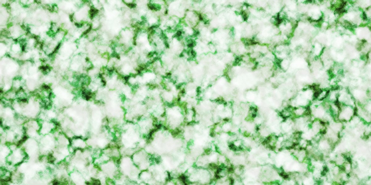 Top Rated Precious Metals IRAs: A Comprehensive Guide