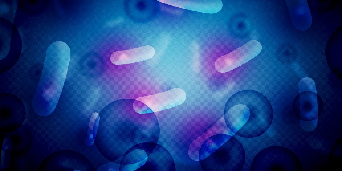 The Best Personal Loans For Bad Credit: A Complete Information