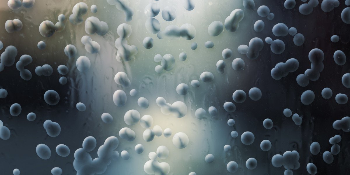 Understanding the Implications of Buying Provigil Without a Prescription