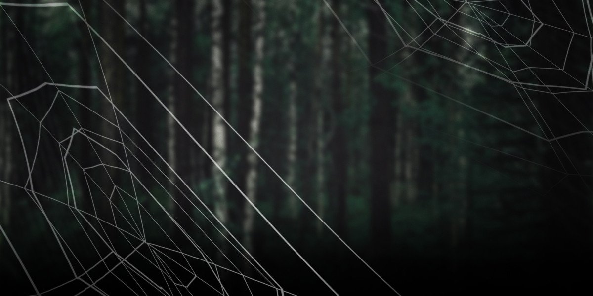 Legit No Credit Check Personal Loans: A Comprehensive Guide