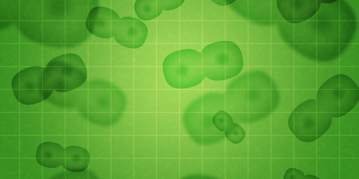 Setting Up a Gold IRA: A Comprehensive Guide