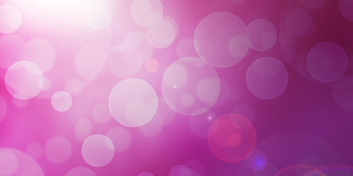 Understanding Credit Loans with No Credit Check: A Comprehensive Study