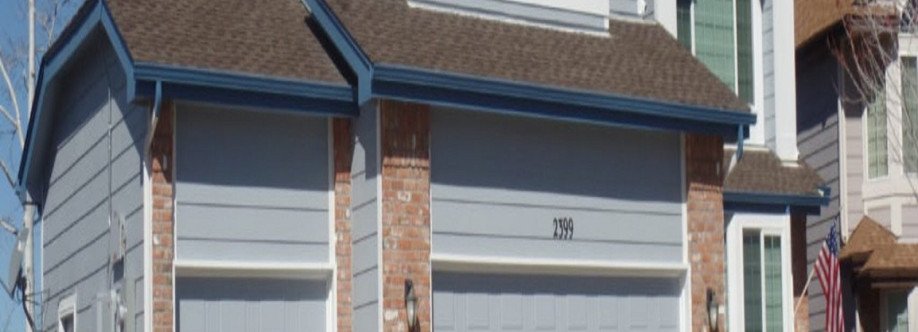 Pro Classic Painting Cover Image