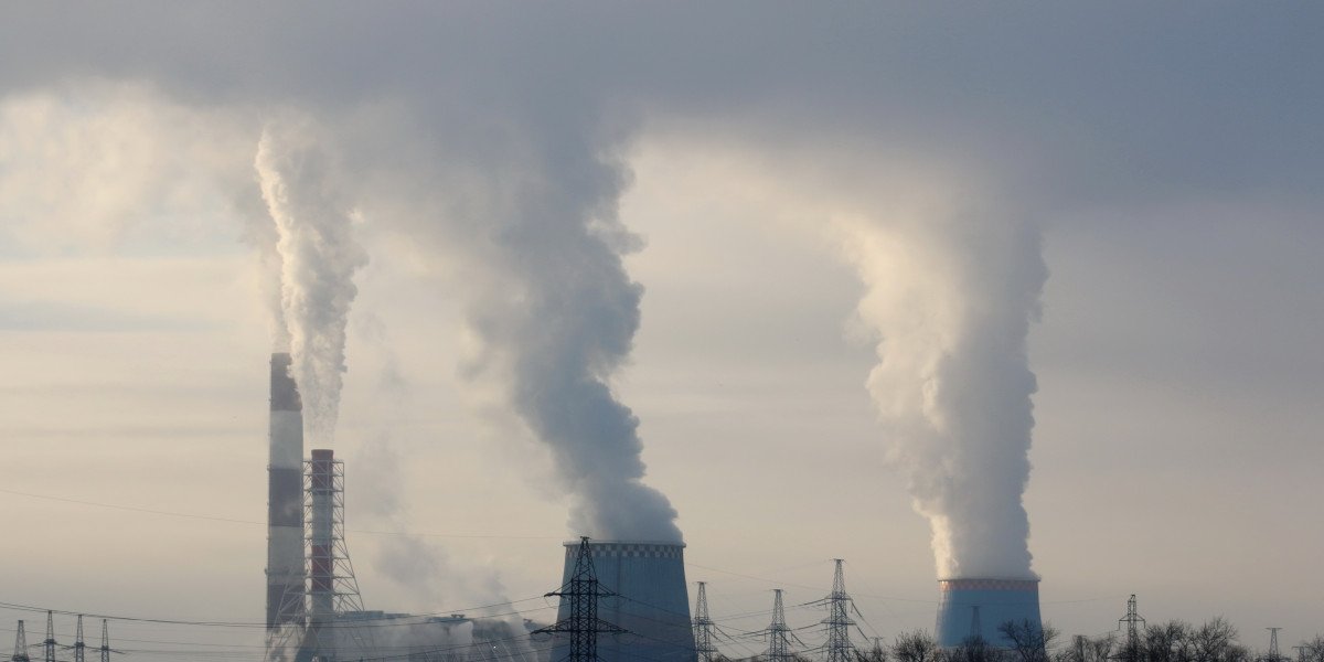 Navigating Compliance Markets with Professional Carbon Credit Consulting