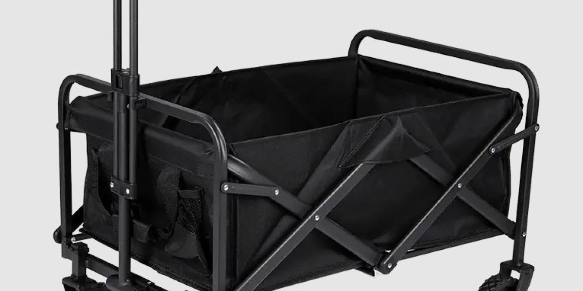 Fishing Carts Make Beach and Lake Trips Easier